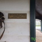 Shackleford at Darby Dan