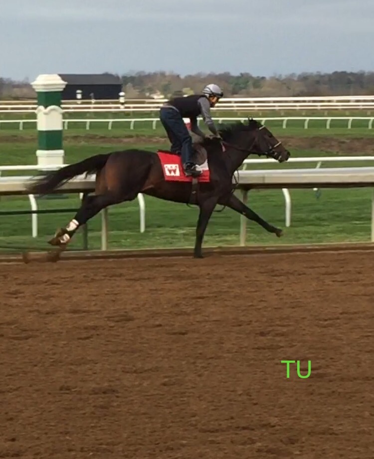 McCraken at Keeneland