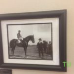 Charles Christian Cook's Man o' War Belmont Futurity photo