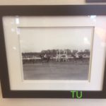 Cook's 1919 Belmont Futurity photo