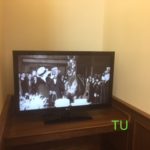 A Man o' War video on loop at the Keeneland library