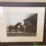 Thayer's photo of Man o' War at Faraway Farm