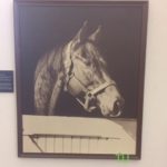 Spy Song, Meadors' photo of Man o' War's proginy