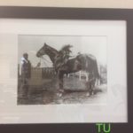 Man o' War with his groom John Buckener, from the Jeffords collection