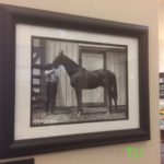 McClure's photo of Buckner with Man o' War