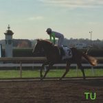 Celestial Insight wins at Keeneland