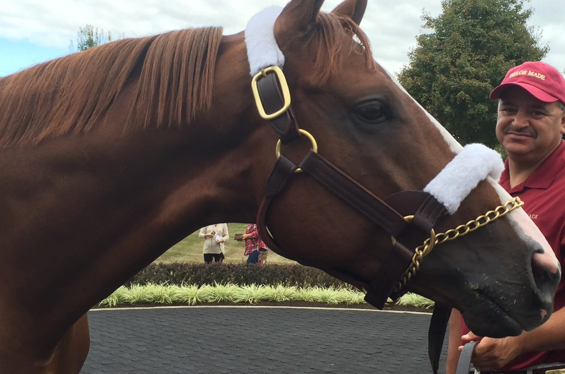 California Chrome, full brother to Faversham, delights his visitors.