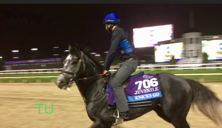 Knicks Go holds the 2nd position on the 2019 Kentucky Derby leaderboard.