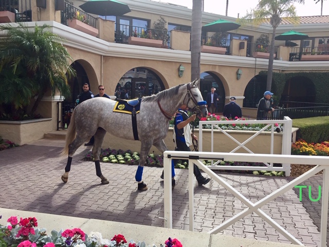 Coliseum broke his maiden at his first asking at Del Mar 11/18 by 6 and 3/4 lengths!