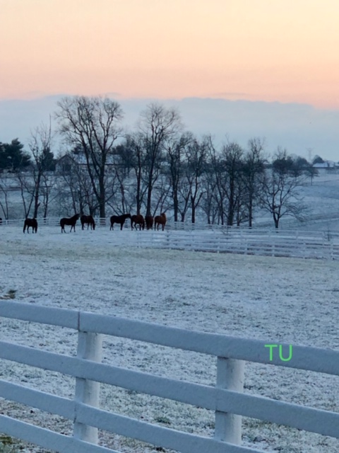 The Sun Is Not Shining Bright On My Old Kentucky Home.