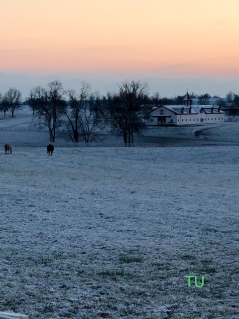 Snow is expected in the Horse Capital of the World.  Look to The Sunshine State for this weekend's racing.