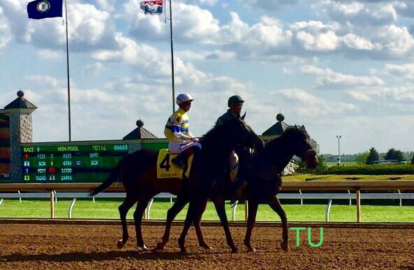 Ickymasho won the Bewitch Stakes at Keeneland!