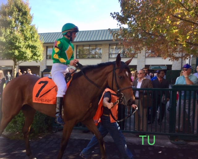 Fall colors at the Keeneland Fall Meet.