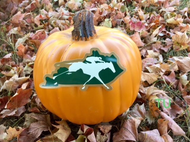 Kentucky racing in the Fall is pure joy.  I hope you make it out to Keeneland.