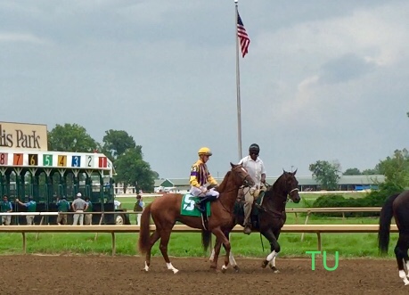 Crypto Cash parades before his first start at Ellis Park.