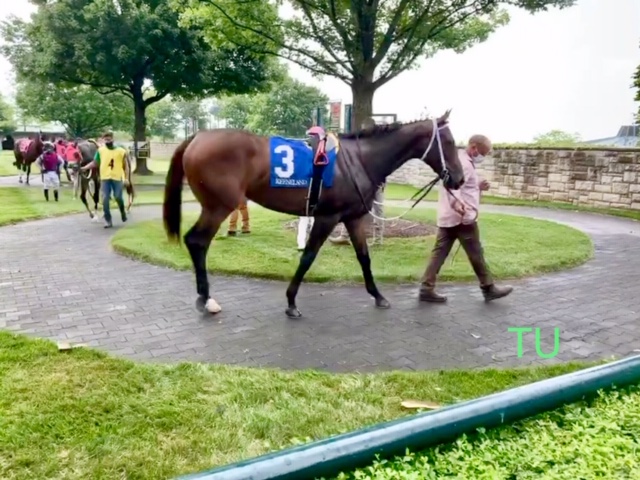 Pretty In Pink in Keeneland's paddock before her first career start.