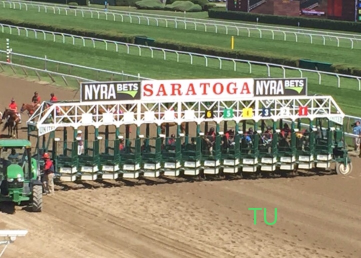 And their off...at Saratoga!