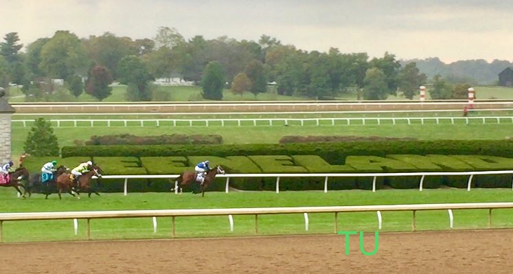 Mutasaabeq won at BC Juvenile Turf berth at Keeneland!