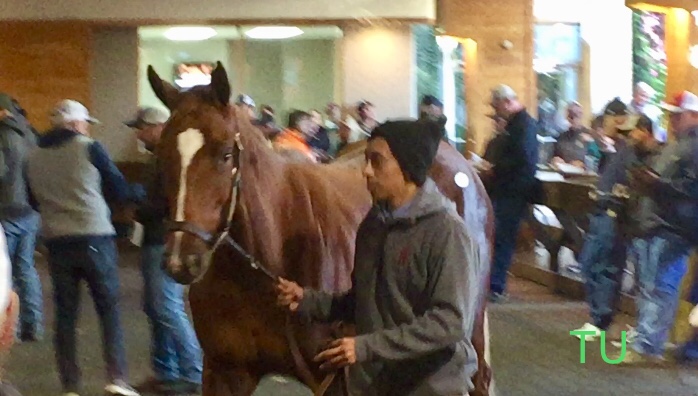 Hard Rye Guy will compete for Kentucky Derby points in the John Battaglia Memorial Stakes on 2/26/2021!