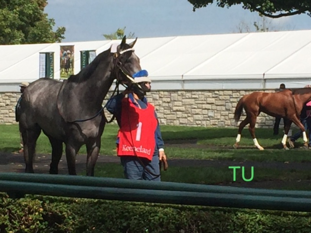 Keeneland's Spring Meet features two Kentucky Derby prep races!