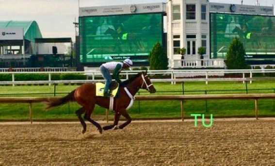 2019 Florida Derby winner, Maximum Security.