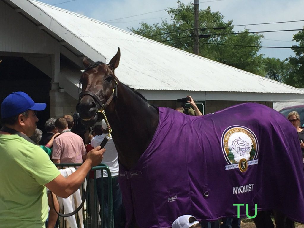 2016, Florida Derby winner, Nyquist!