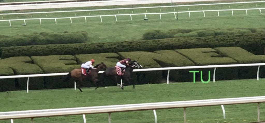 Change  of Control wins the 24th Giant's Causeway at Keeneland.