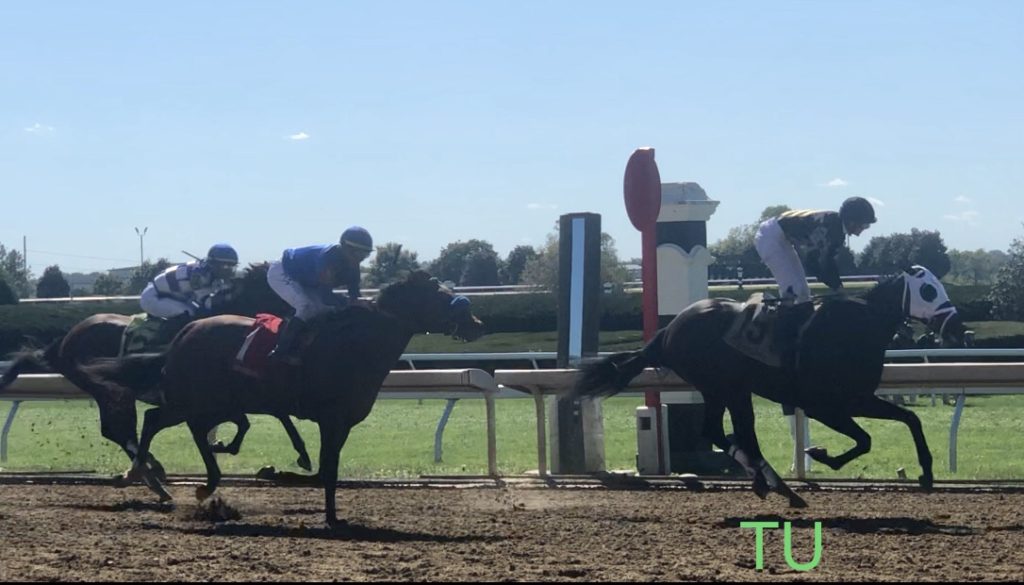 Spin Wheel rounded out the top four finishers in a Keeneland maiden race.