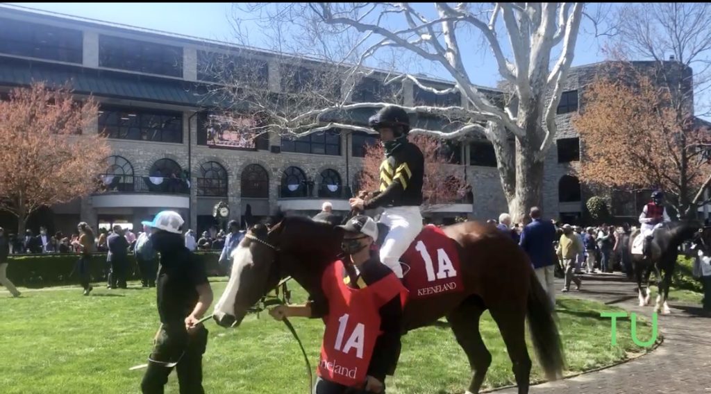 Keeneland's iconic paddock.