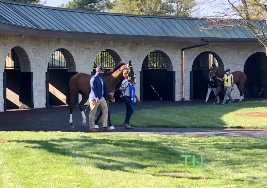 Picking winners in the paddock at Keeneland.