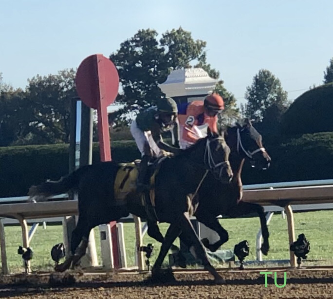 Forte edged out Loggins to win the Claiborne Breeders' Futurity at Keeneland. Forte is fourth on the Kentucky Derby leaderboard. He will aim for the top in the Florida Derby!