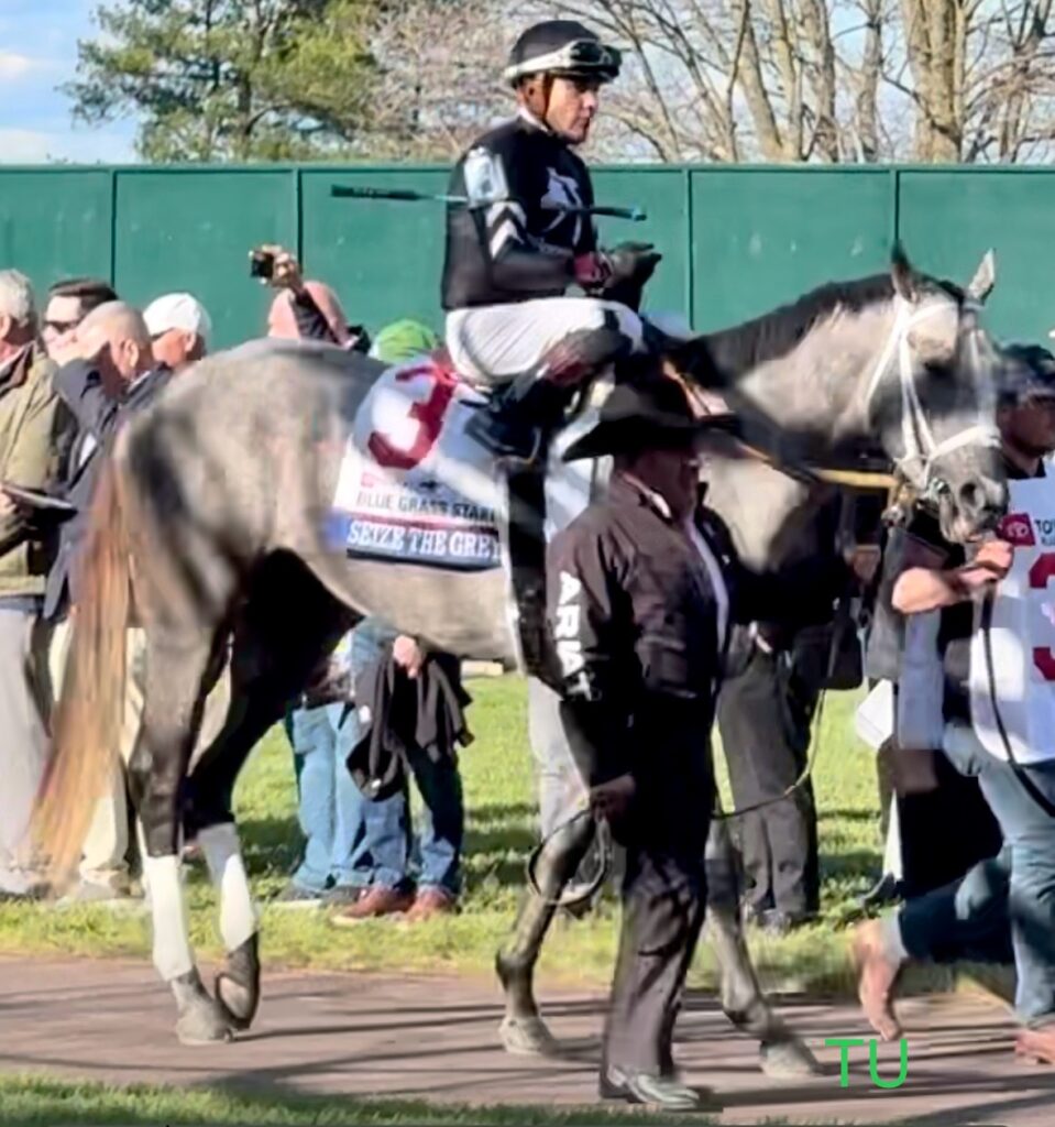 Will Seize the Grey seize the Belmont?