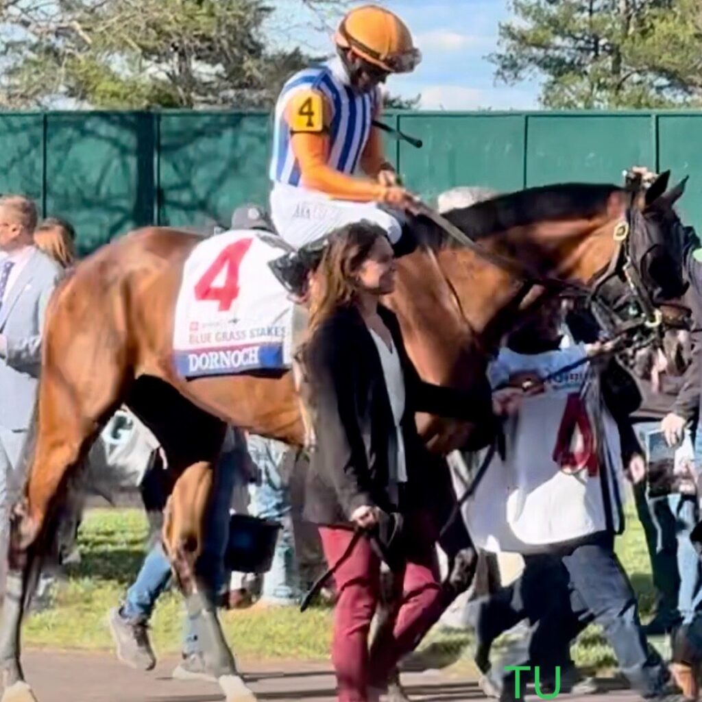 Dornoch raced twice at Keeneland before winning the Belmont Stakes.  He is the morning-line favorite to take the Travers Stakes. 