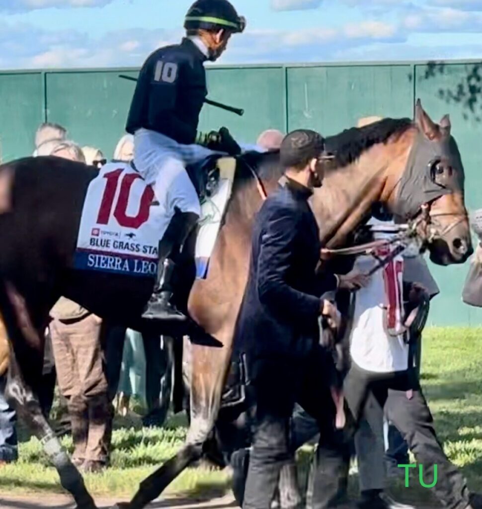 Sierra Leone always finishes in the money!  I expect the streak to stay in the Travers Stakes.