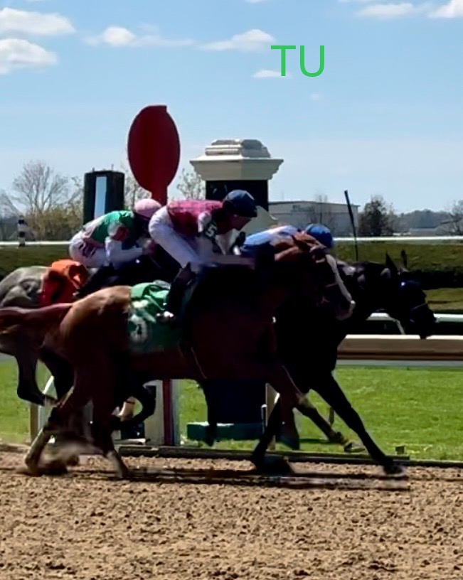 Batten Down raced at Keeneland in April of 2024. Next race is the Travers Stakes.