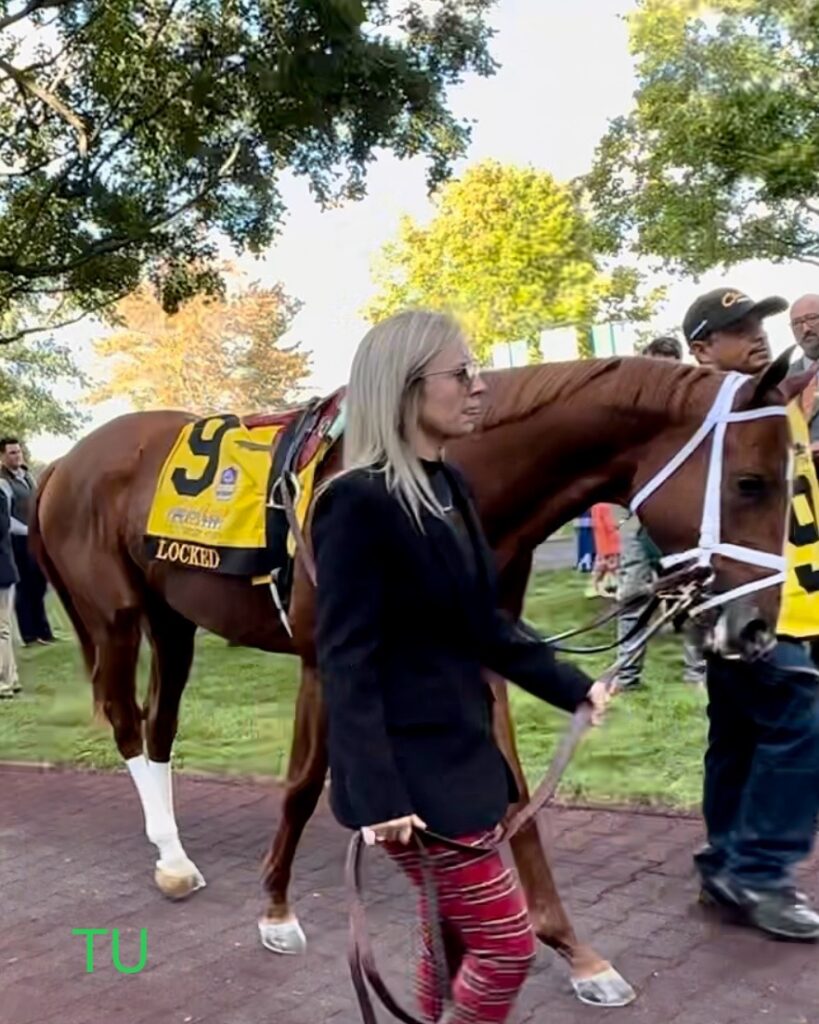 Claiborne Breeders' Futurity, last October Meet's winner, Locked.