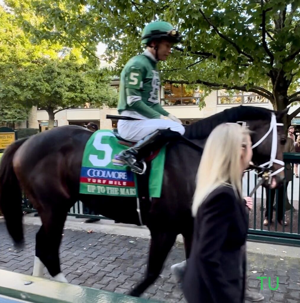 Up to the Mark won bib in the 2023 Coolmore Turf Mile.