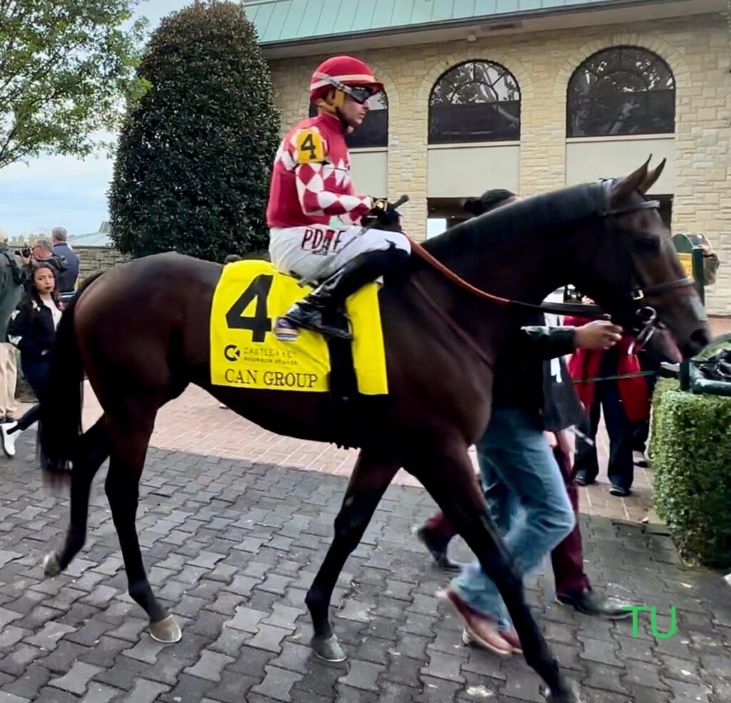 Can Group, winner of the 2023 Castle and Key Bourbon Stakes at Keeneland.