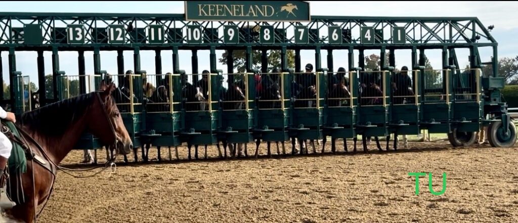 Keeneland Fall Meet, 2024!