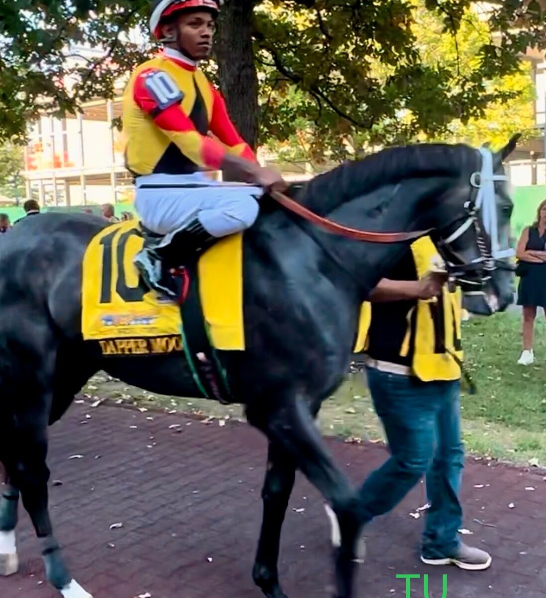 Dapper Moon is currently 17th on the Kentucky Derby Leaderboard. He has consistently finished fourth in al three of his KY Derby prep races. Dapper Moon hopes to earn 20 more points in the Lecomte Stakes.