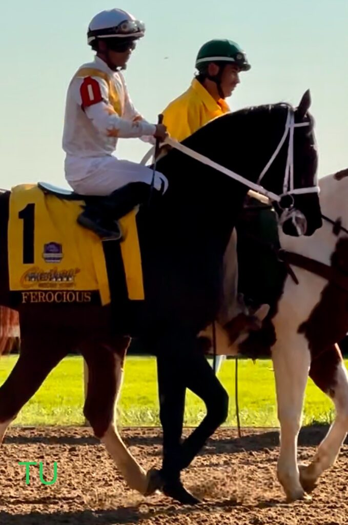 Ferocious is fast, can he get to the front first in the Holy Bull Stakes?