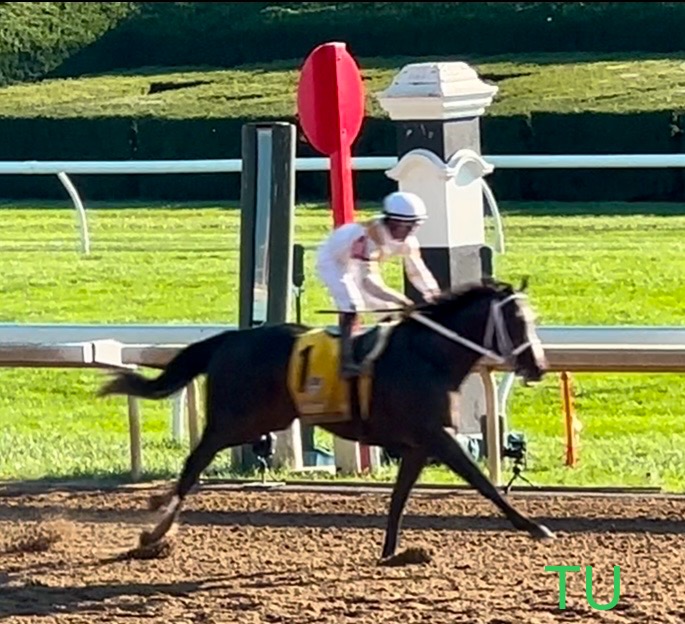 Ferocious is a fast favorite. With a 96 Beyer Speed and 9/5 morning-line odds, he is expected to race up the Kentucky Derby leaderboard.