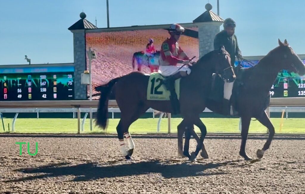 Camp Hale finished second  in his Keeneland debut at two.  He wants to best that finish and earn twenty points towards the Kentucky Derby in the Sam F. Davis Stakes. 