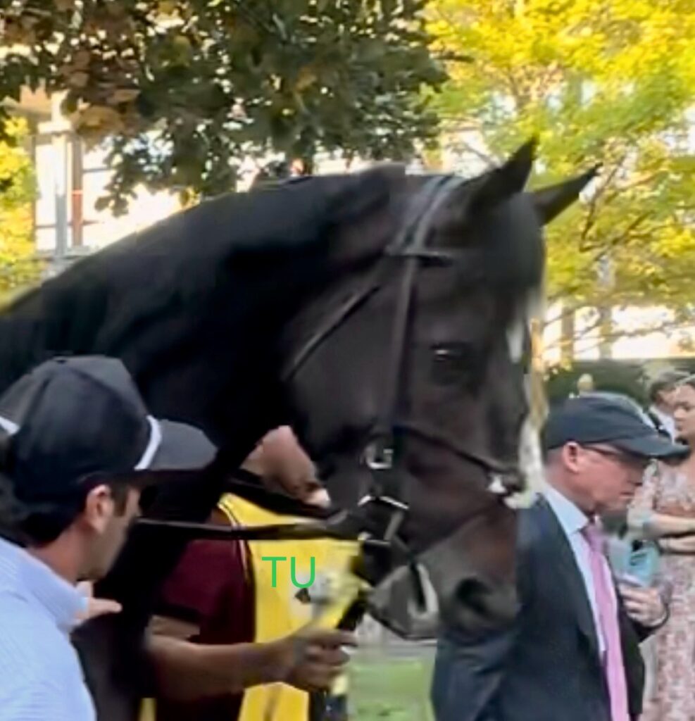 East Avenue earned Kentucky Derby prep points with a win in the Claiborne Breeders' Futurity.  Will he be best in the Risen Star?