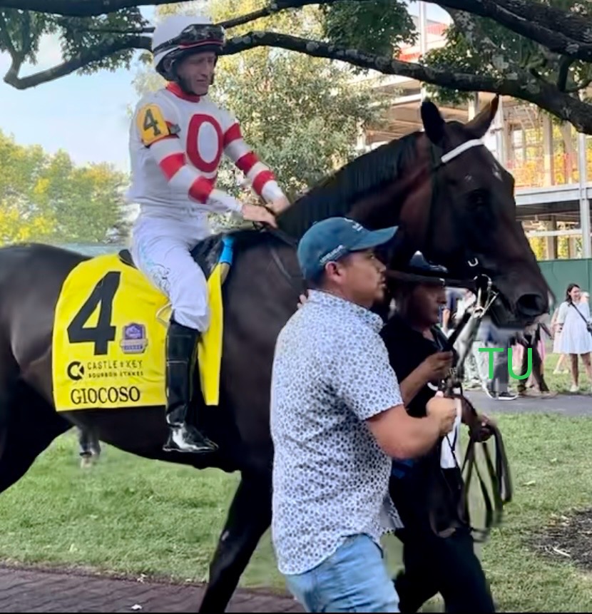 Giocoso picked up Kentucky Derby prep points in the first race on The Road To The Kentucky Derby. He is looking to race up the leaderboard in the Risen Star.