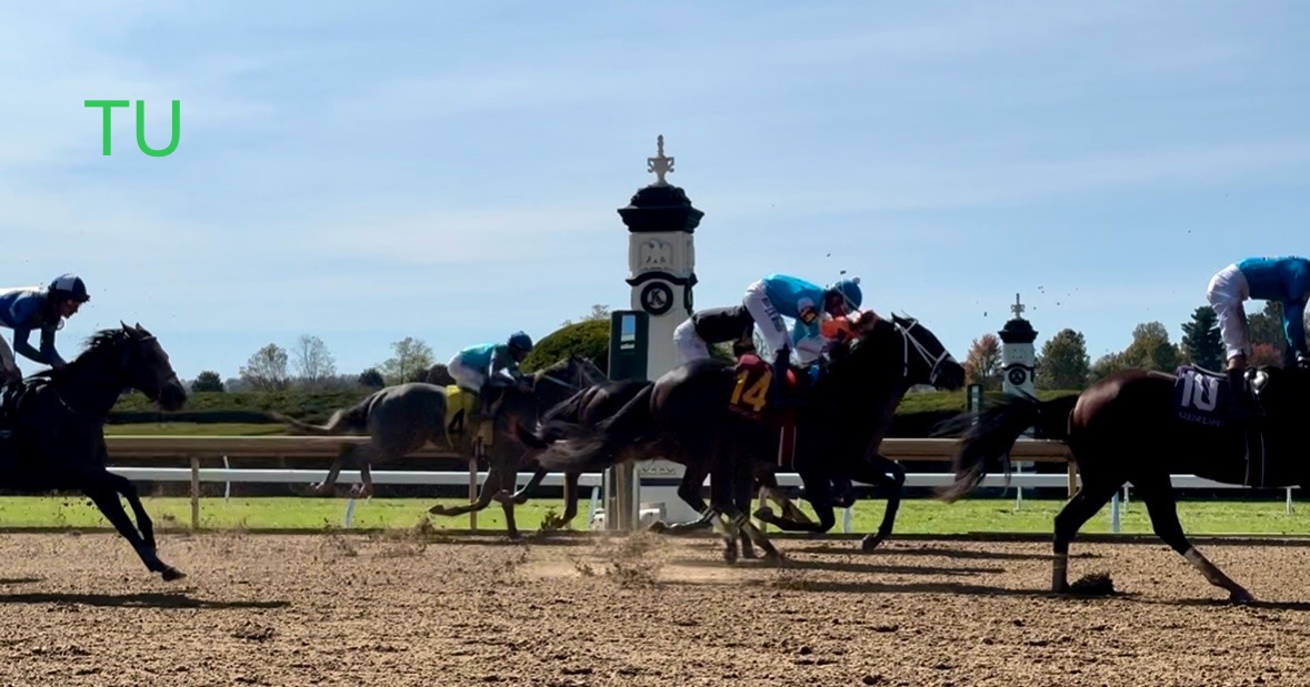 Coming in Hot is ready to race in the cold during the John Battaglia Memorial Stakes.