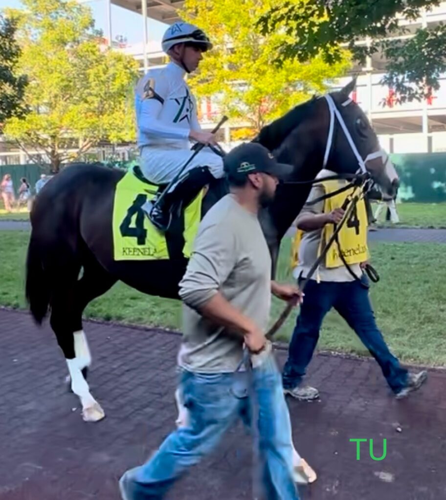 Patch Adams is looking to climb rank on the Kentucky Derby leaderboard in the Tampa Bay Derby!